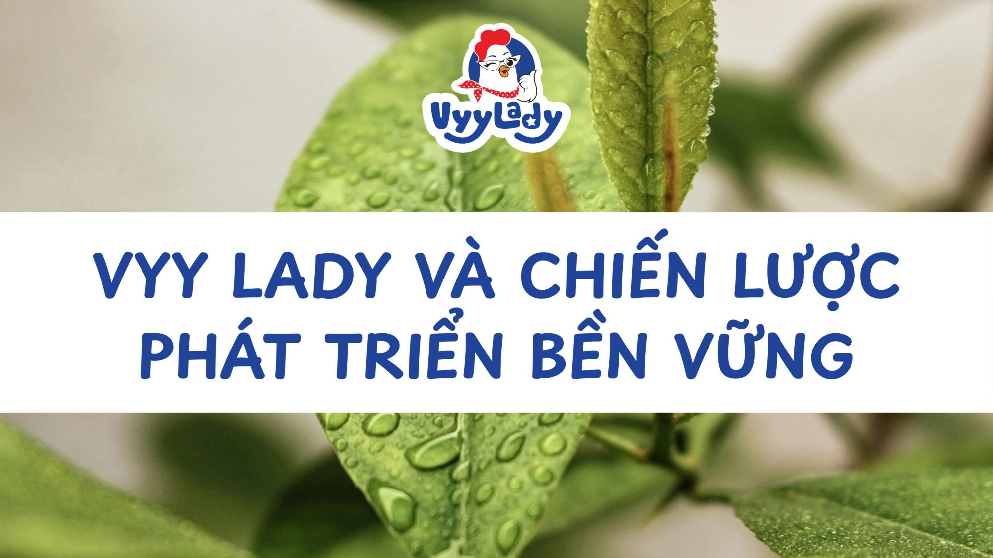 Vyy Lady và chiến lược phát triển bền vững - Vyy Lady