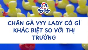 Chân Gà Vyy Lady Có Gì Khác Biệt So Với Thị Trường