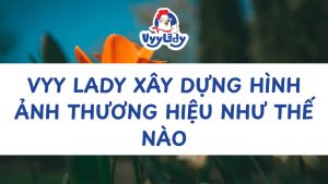 Vyy Lady Xây Dựng Hình Ảnh Thương Hiệu Như Thế Nào