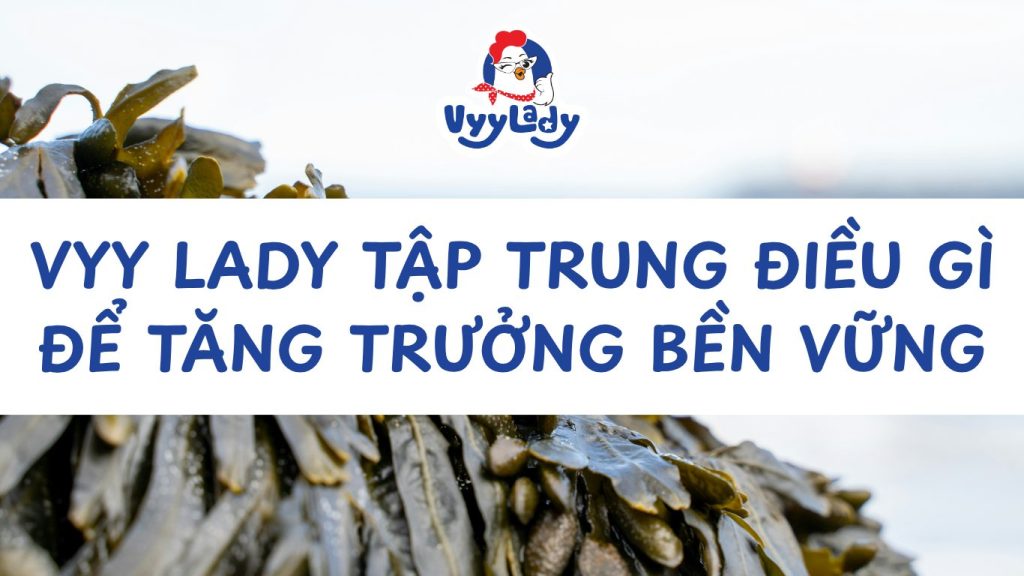 Vyy Lady Tập Trung Điều Gì Để Tăng Trưởng Bền Vững